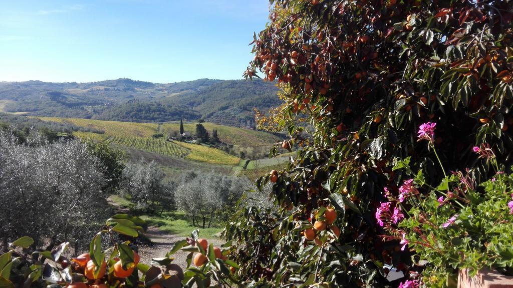 Terre Di Melazzano - Le Case Di Chiara Greve in Chianti Exterior photo